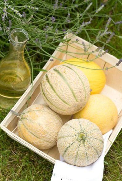 网红二饼吃瓜事件,揭秘网红圈内的真实风波