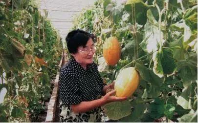 大型吃瓜事件网红叫什么,揭秘大型吃瓜事件网红的传奇之路