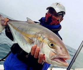 吃瓜网红鱼神是谁,吃瓜界的风云人物