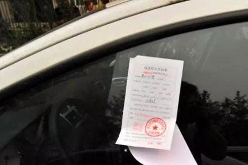 男子路遇网念现场路边停车吃瓜,男子路边停车吃瓜见证奇观