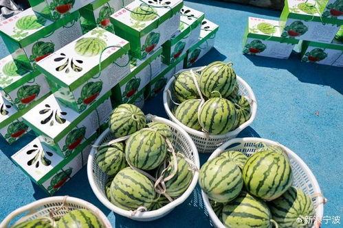 康县网红吃瓜店子在哪里,探寻隐藏在山水间的美食秘境