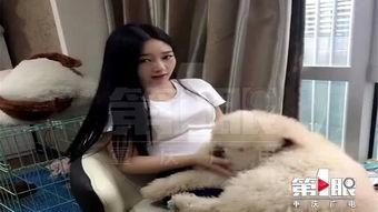 网红狗子张悦吃瓜视频播放,观看量爆表！