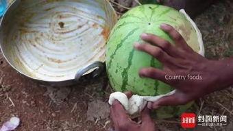 荷兰网红吃瓜事件真相是真的吗,真相揭秘，是真是假？