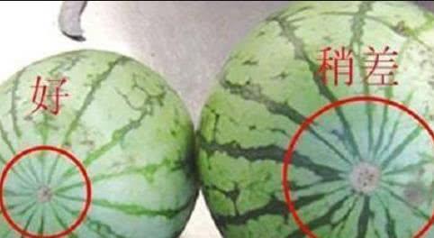 吃瓜网的服务内容是什么,一站式娱乐资讯服务平台全解析