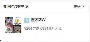 吃瓜网怎么看原视频,原视频背后的故事与真相