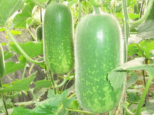 吃瓜网 j4k.cm,带你领略网络娱乐新风向