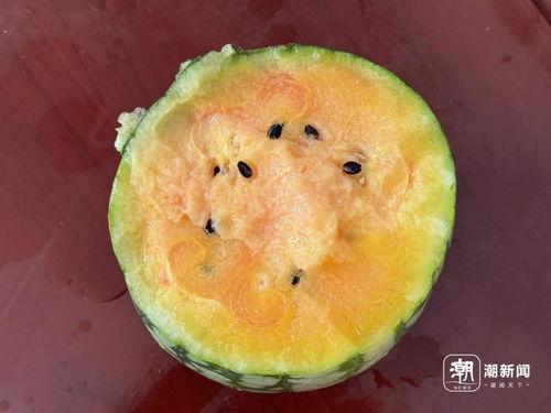 网爆吃瓜网,揭秘网络热点背后的真相与笑料