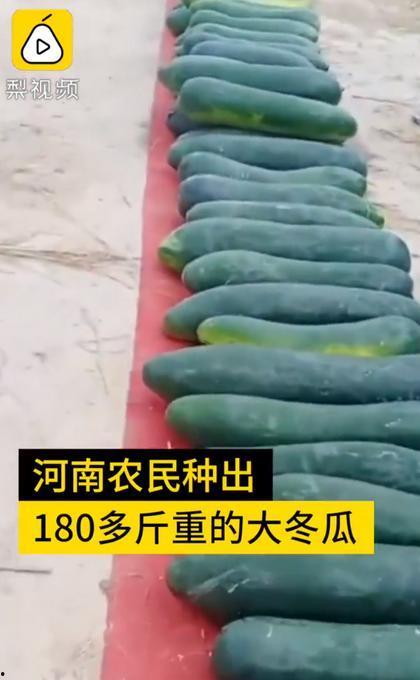 吃瓜四大网红是哪四个,揭秘网络红人的魅力与影响力”