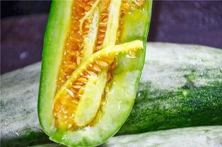 网红拍摄视频吃瓜