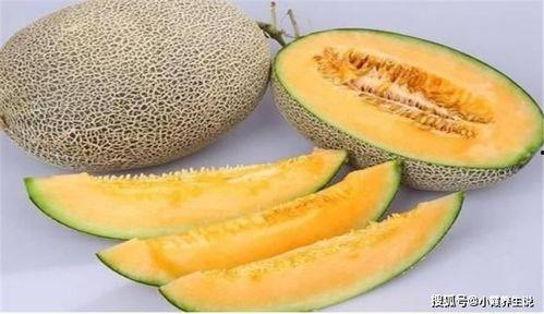 网红鹅喜欢吃哈密瓜吗,揭秘哈密瓜的诱惑