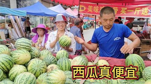 51吃瓜回家官网,揭秘娱乐圈幕后故事，带你走进明星真实生活