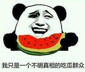 网暴吃瓜事件,揭秘吃瓜群众的盲目与伤害