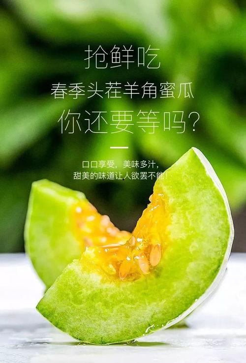 哪里吃网红的瓜